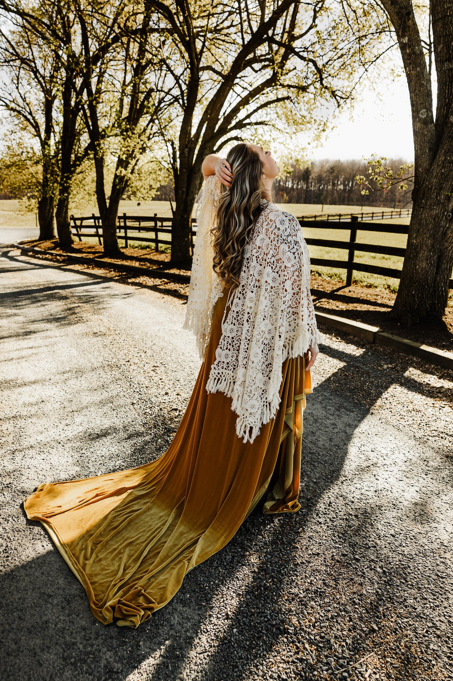 Gold Velvet Dress Rental